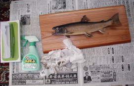 魚剝製のクリーニング　洗剤をふき取り綺麗に