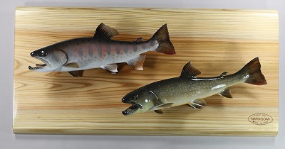 ヤマメとイワナ２ひきが泳ぐ画像