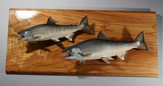 ボードザ・木目にヤマメ2匹が付いた画像