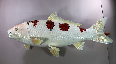 観賞魚剝製　錦鯉葡萄タイプ魚体